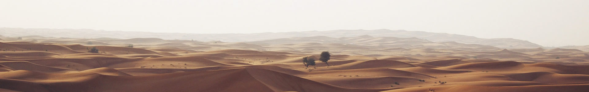 ʯԵ鱦޹˾